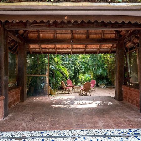 Bougainvillea Guest House Candolim Εξωτερικό φωτογραφία