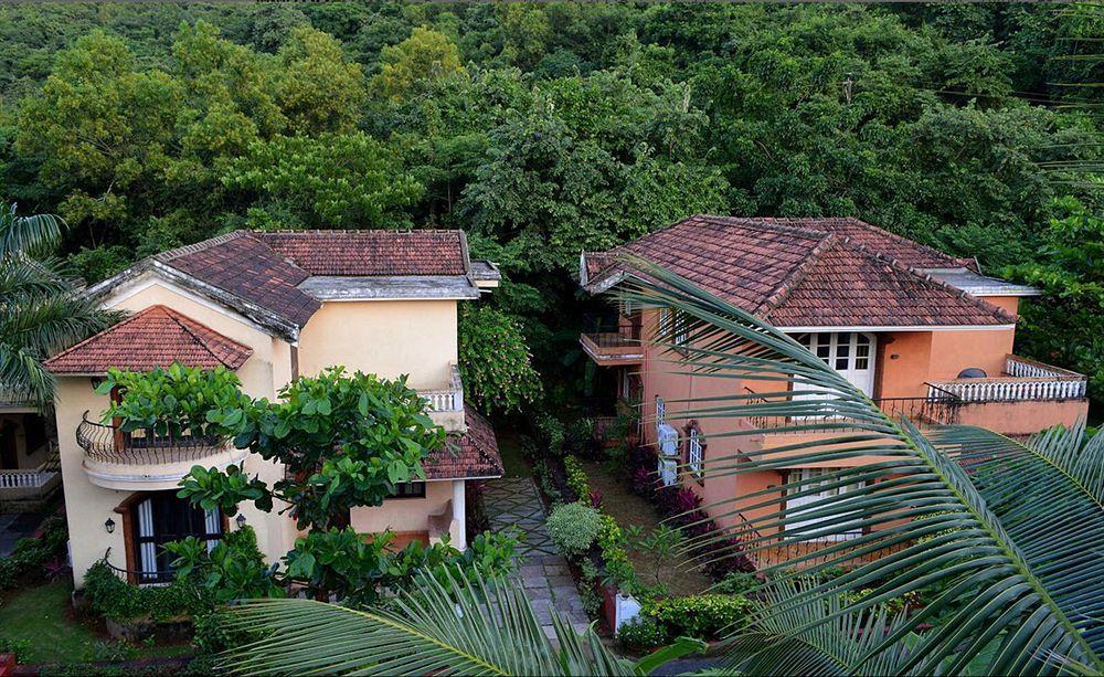 Bougainvillea Guest House Candolim Εξωτερικό φωτογραφία